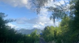 北京国安队球场冲突：球迷争执，俱乐部回应球员道歉